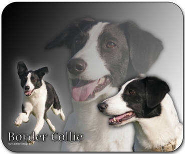 Mousepad Border Collie